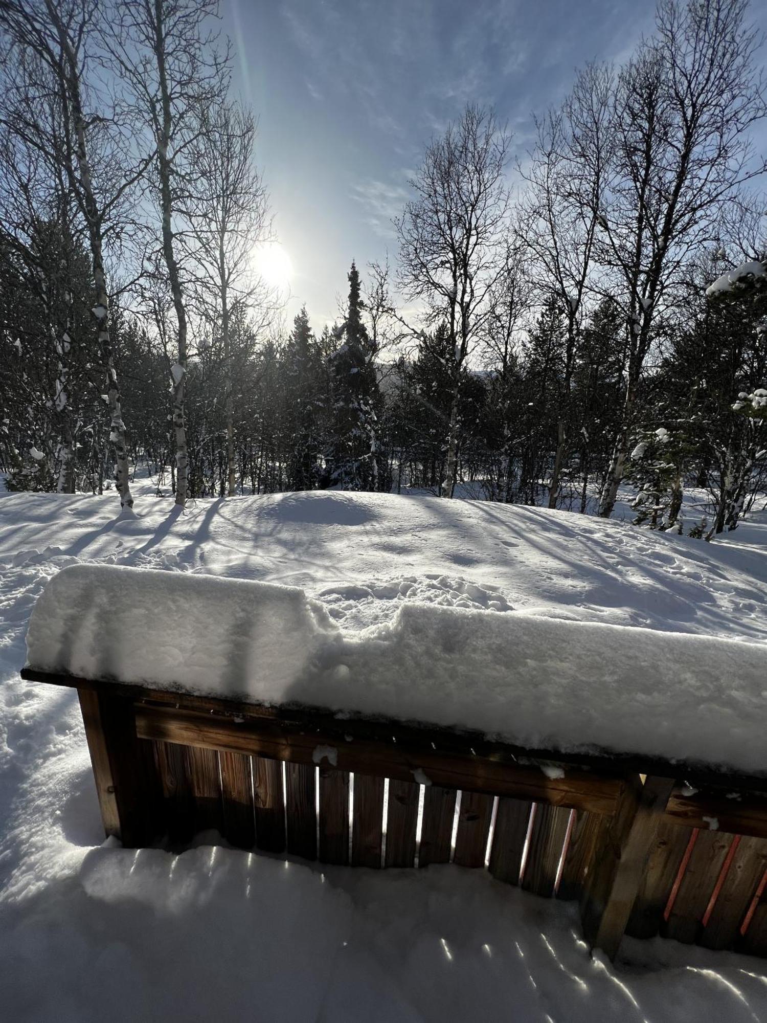 Koselig Hytte Med Usjenert Og Solrik Beliggenhet Geilo Exteriér fotografie