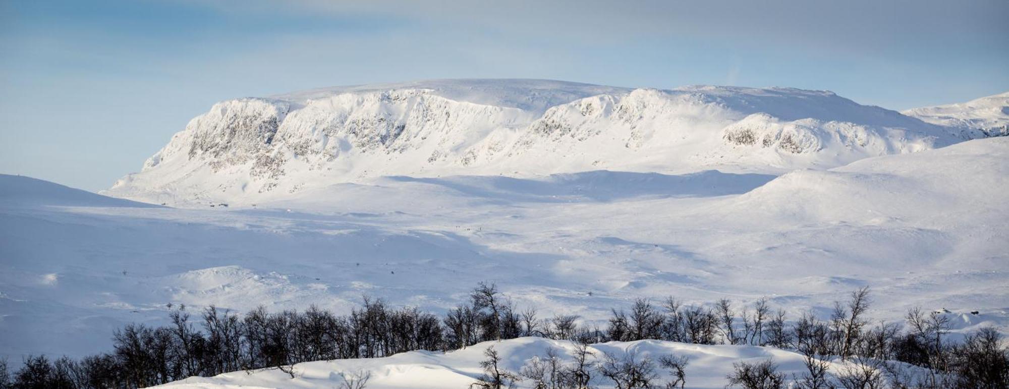 Koselig Hytte Med Usjenert Og Solrik Beliggenhet Geilo Exteriér fotografie