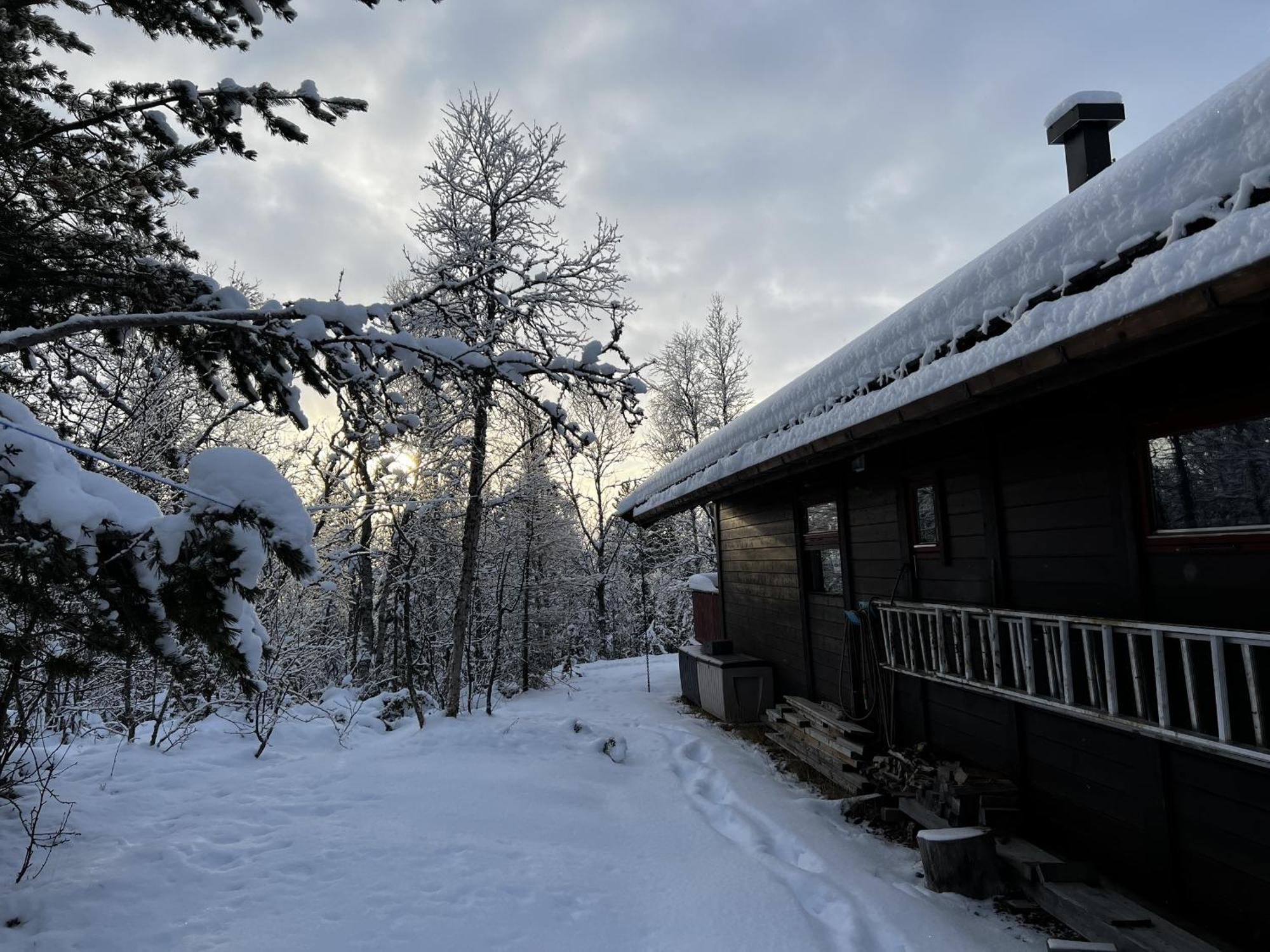 Koselig Hytte Med Usjenert Og Solrik Beliggenhet Geilo Exteriér fotografie
