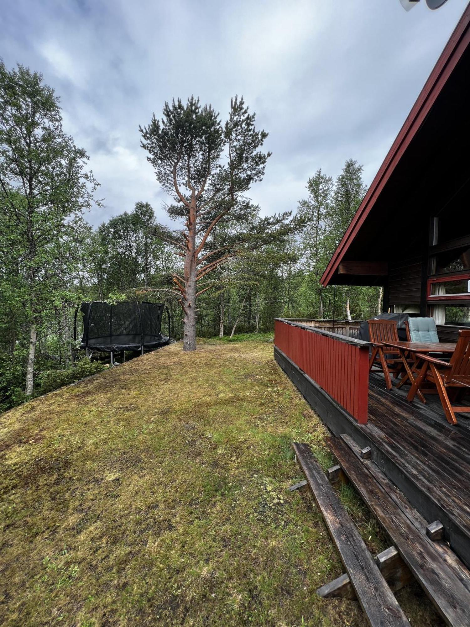 Koselig Hytte Med Usjenert Og Solrik Beliggenhet Geilo Exteriér fotografie